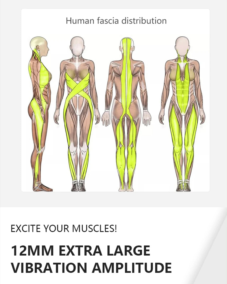 T-Series Muscle Massage Gun 12mm (1300–3300rpm)